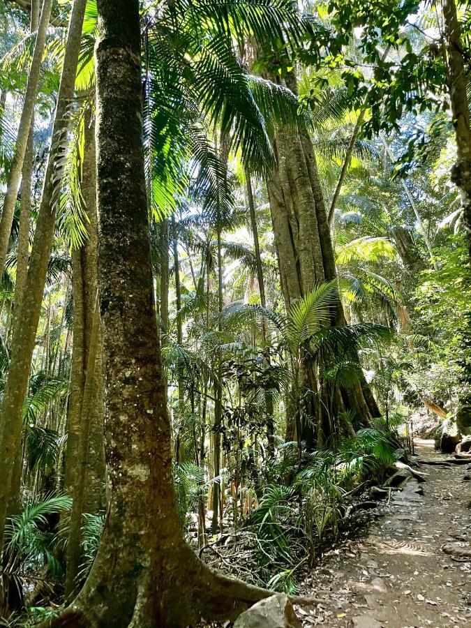 Mountain Studio Escape Mount Tamborine Buitenkant foto